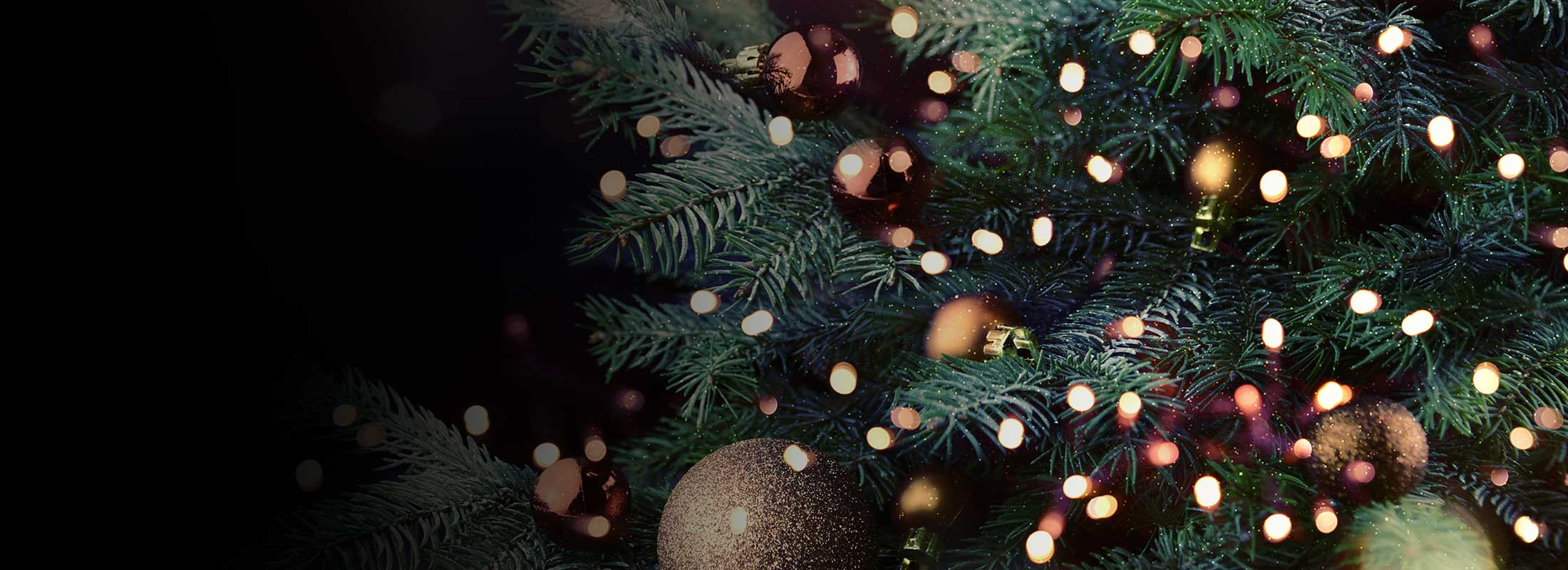 Front Page -Twinkly Sales Shop banner793